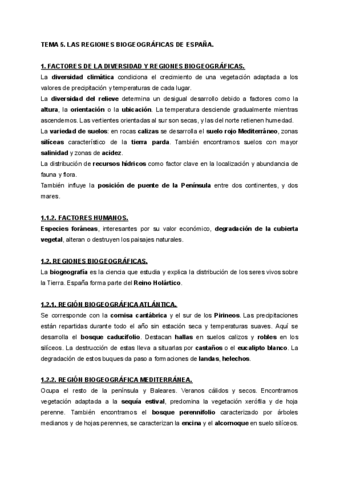 TEMA-RESUMEN-5-Y-6.pdf