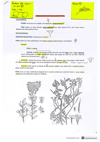 Familia-Plantes.pdf