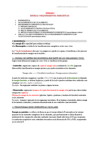 UNIDAD-2-Energia-y-Requerimientos-energeticos.pdf