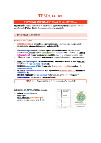 TEMA-15.-BG.-DESARROLLO-EMBRIONARIO.pdf