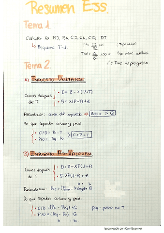 Resumen-Ejs-Tema-1-a-3.pdf