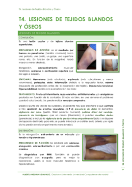 T4. Lesiones de Tejidos Blandos y Óseos.pdf