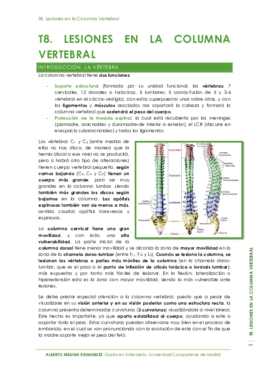 T8. Lesiones en la Columna Vertebral.pdf