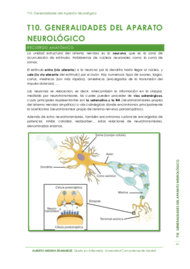 T10. Generalidades del Aparato Neurológico.pdf