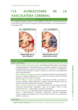 T13. Alteraciones de la Vasculatura Cerebral.pdf