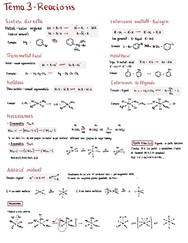 Apunts-Organomet..pdf