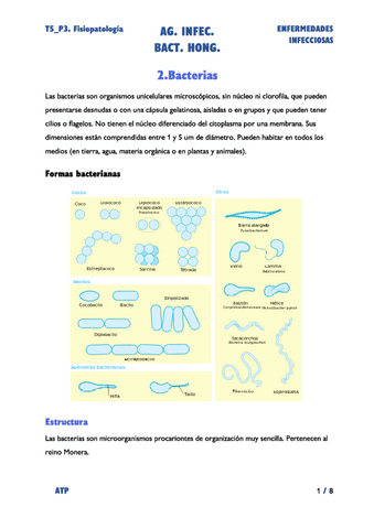 T5P3-Agentes-Infecciosos.-Bacterias-y-Hongos.pdf