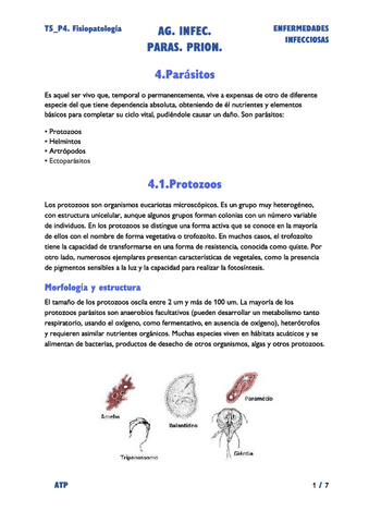 T5P4-Agentes-Infecciosos.-Parasitos-y-Priones.pdf