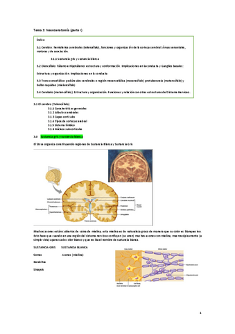 Tema-3.pdf