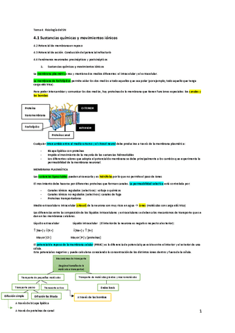 Tema-4.pdf