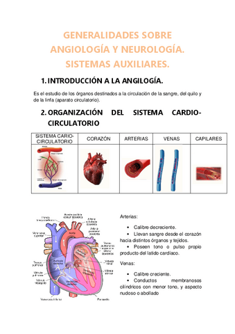tema-5-generalidades-sobre-angiologia-y-neurologia.pdf