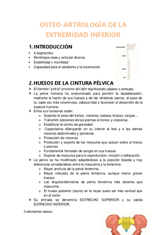 tema-8-osteo-artrologia-de-la-extremidad-inferior.pdf