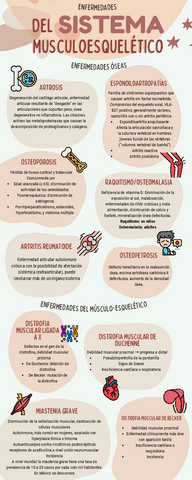 Infografia-Musculo-Esqueletico.pdf