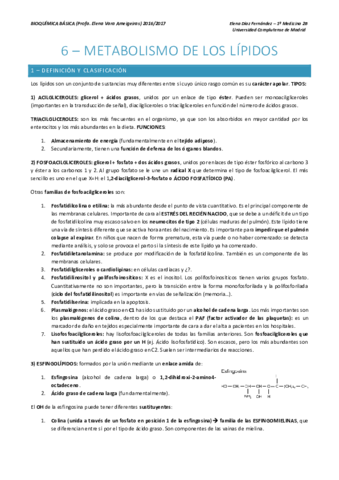 Bioquímica básica tema 6 - Lípidos - Elena Díaz Fernández.pdf
