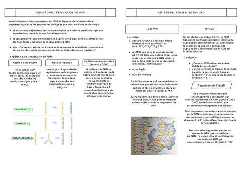b.III-genetica-adn.pdf