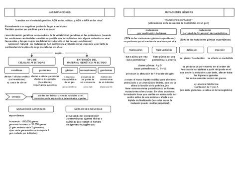 b.III-genetica-mutaciones.pdf