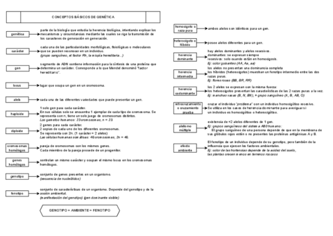 b.III-genetica-resumen.pdf