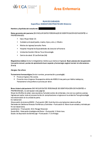 PLAN-DE-CUIDADOS-HENDERSON-Practicum-II-III.pdf