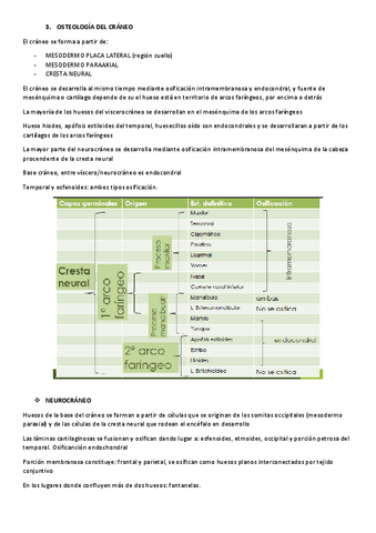 TEMA-4.2-OSTEOLOGIA-DEL-CRANEO.pdf