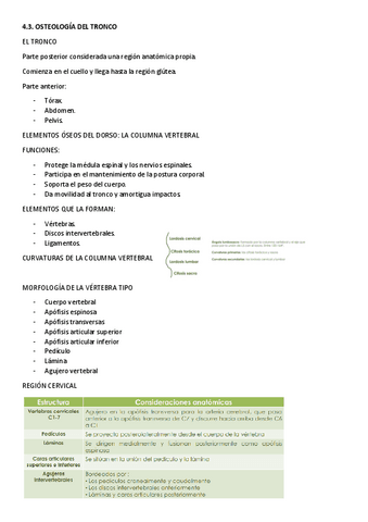 TEMA-4.3-OSTEOLOGIA-DEL-TRONCO.pdf