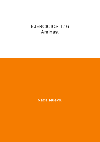 EJERCICIOS T.16 Aminas..pdf