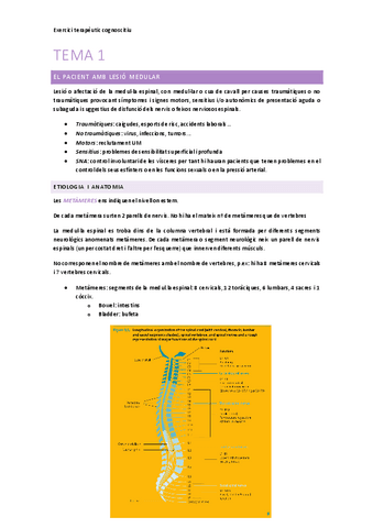 EXCERCICI-TERAPEUTIC-COGNOSCITIU.pdf