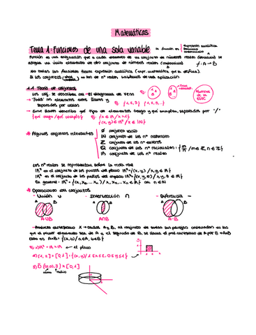 Tema-1-Funciones-de-una-variable.pdf