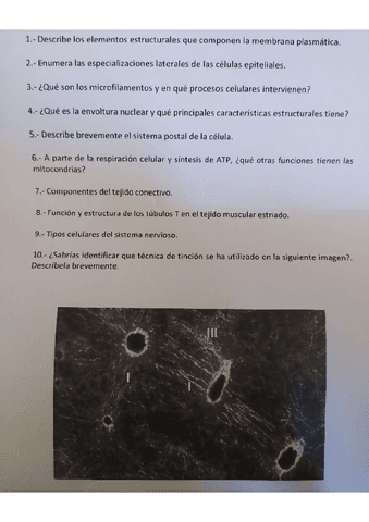 examen-biocel.pdf