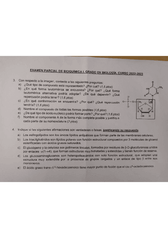 segundo-parcial-bioquimica.pdf
