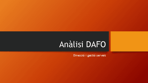 Analisi-DAFO.pdf