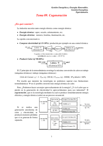 Tema 09 Gestión Energética.pdf