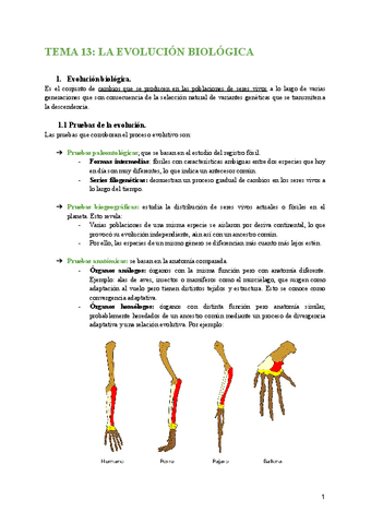 TEMA-13-LA-EVOLUCION-BIOLOGICA.pdf