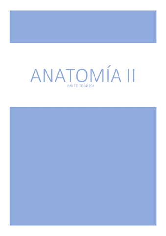 ANATOMIA-II (21-22).pdf