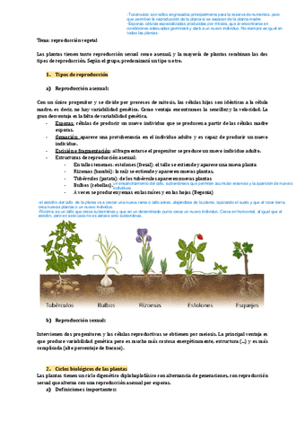 Teoria-reproduccion-vegetal.pdf