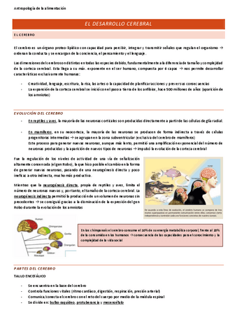 Antropologia1DesarrolloCerebral.pdf