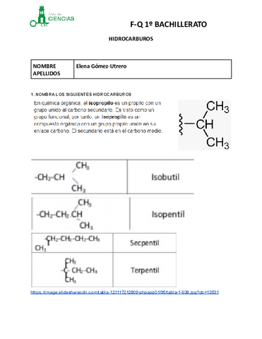 HIDROCARBUROS-IV.pdf