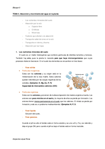 TEMA-5-FISIOLOGIA-VEGETAL.pdf