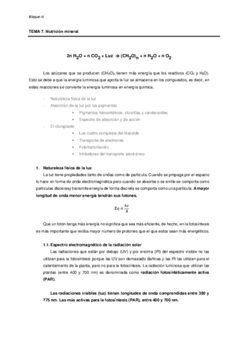 TEMA-7-FISIOLOGIA-VEGETAL.pdf