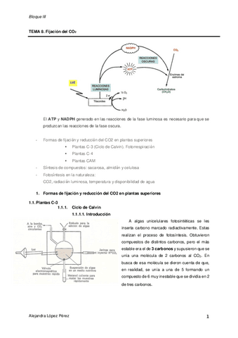 TEMA-8-FISIOLOGIA-VEGETAL.pdf