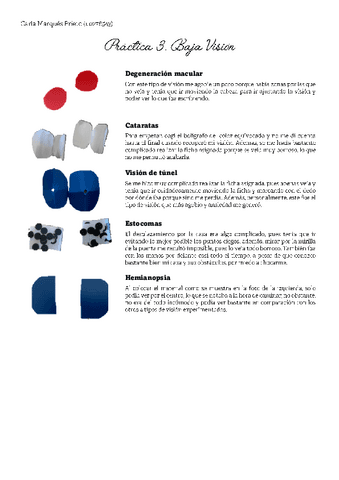 Practica-3.-Baja-Vision.pdf