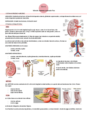 Bloque2-Clinica2.pdf