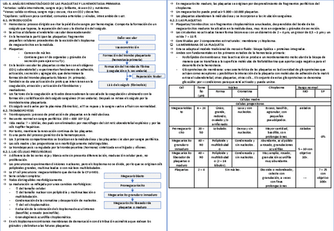 Resumen-Hema-tema-6.pdf