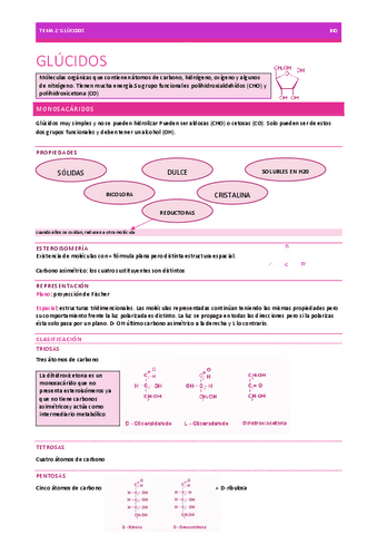 GLUCIDOS-BIOLOGIA-2o-BACH-TEMA-2.pdf