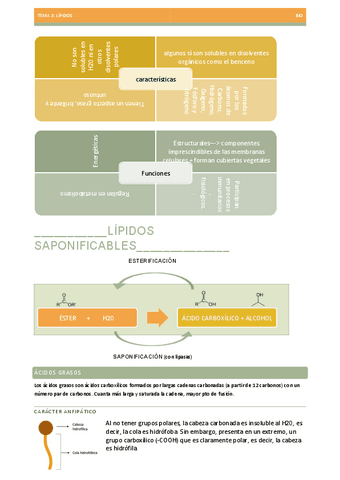 LIPIDOS-TEMA-3-BIOLOGIA-EBAU.pdf