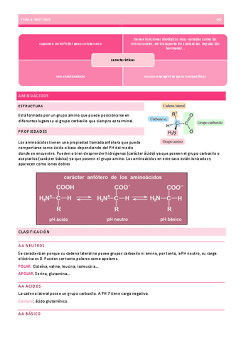 PROTEINAS-TEMA-4-BIOLOGIA-EBAU.pdf