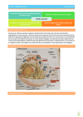LA-MEMBRANA-CELULAR-TEMA-6-BIOLOGIA-EBAU.pdf