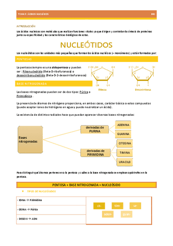 ACIDOS-NUCLEICOS-TEMA-5-BIOLOGIA-EBAU.pdf