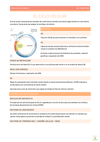 CICLO-CELULAR-TEMA-10-BILOGIA-EBAU.pdf