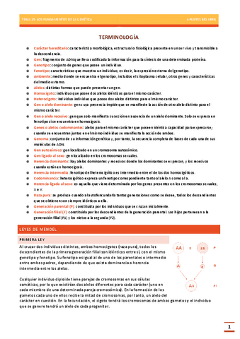 GENETICA-BASICA-TEMA-15-BIOLOGIA-EBAU.pdf