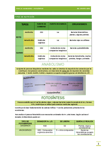 ANABOLISMO-TEMA-14-BIOLOGIA-EBAU.pdf